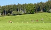 Tocht Stappen Paliseul - Maissin - Photo 20