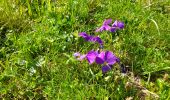 Tocht Stappen Brizon - BARGY: SOLAISON - CENISE PAR LE MAUVAIS PAS - ROCHERS DE LESCHAUX - Photo 7