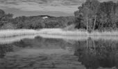 Tour Wandern Puget-sur-Argens - Puget-sur-Argens - Les Terres Gastes - Photo 2