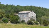 Tour Wandern Balazuc - balazuc grotte estinettes tour Jeanne viel audon - Photo 14