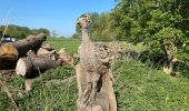 Randonnée Marche Malines - Malines ouest 18,3 km - Photo 7