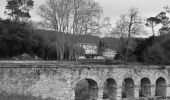 Trail Walking Vidauban - Vidauban - Château d'Astros - Chapelle St Lambert - Photo 10