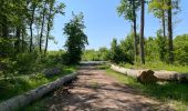 Excursión Senderismo Compiègne - en Forêt de Compiègne_50_les Routes des Beaux Monts, de Morpigny et des Nymphes - Photo 7