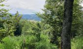 Trail Horseback riding Bertrimoutier - Restaurant belle vue col de sainte marie Tivio  - Photo 14