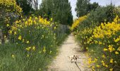 Tour Wandern Mouriès - Caisses Jeanjean golf Servanes (boucle) - Photo 10