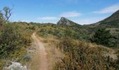 Trail Walking Buis-les-Baronnies - Malpertuis - Milmandre - Ubrieux 04.08.2021 - Photo 4