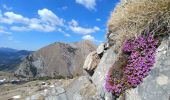 Trail Walking Le Vernet - 20190328_Le Vernet_Circuit des trois cabanes - Photo 13