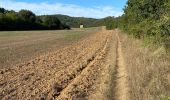 Tocht Stappen Gréoux-les-Bains - Château Laval - Photo 3