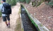 Tour Wandern Carcès - Bords de l'Argens, lac de Carcès, 11-10-23 - Photo 3