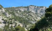 Randonnée Marche Toulon - Autour du Mont Faron - Photo 10