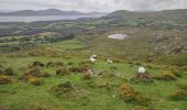 Tour Wandern West Cork - Hungry Hill - Photo 16