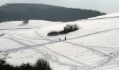 Tocht Te voet Onbekend - Sophienalpe - Scheiblingstein - Photo 3