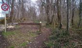 Tocht Stappen Besançon - Forêt de CHAILLUZ Fort de la Dame Blanche - Photo 6