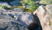 Trail Walking Le Cannet-des-Maures - Boucle autour du Lac des Escarcets - Photo 20