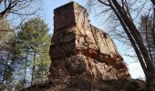 Percorso Marcia Obersteinbach - Obersteinbach - châteaux du Petit Arnsberg, du Wasigenstein et du Blumenstein - Photo 11