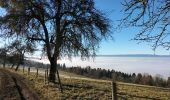 Trail Walking Saint-Paul-en-Chablais - La Chapelle d'Abondance - Photo 11