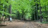 Randonnée Marche Murol - Tour du Tartaret - Photo 12