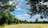 Trail Walking Diepenbeek - La vallée du Démer - La réserve naturelle Dorpsbemden à Diepenbeek - Photo 7