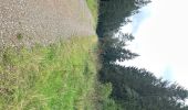 Tour Wandern Theux - Jehanster 25,2 km - Photo 11