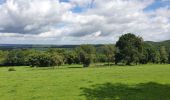 Tour Wandern Manhay - rando deux rys 29/06/2020 - Photo 11