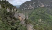 Tocht Stappen Le Rozier - circuit Brunet et partie du circuit de Cassagnes le Rozier - Photo 18