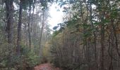 Randonnée Marche Sprimont - banneux . adzeux . grand pierreux . banneux / marche adeps 10 km  - Photo 3