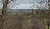 Trail Walking Doische - Matagne la petite120321 - Photo 5
