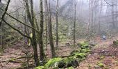 Trail Walking Mittlach - Sapin Kolben Altenweiher - Photo 3