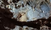 Tour Andere Aktivitäten Dinant - grotte la merveilleuse  - Photo 12