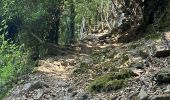 Trail Walking Venaco - Venez-vous - Photo 5
