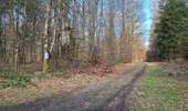 Randonnée Marche Libin - La Source de la Lesse - Photo 2