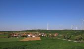 Trail On foot Weikersheim - Planetenweg Weikersheim - Photo 1