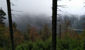 Tour Wandern Urbeis - Les deux lacs - Photo 9