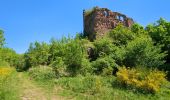 Trail Walking Ottrott - Le circuit des 5 châteaux - Photo 13