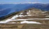 Percorso A piedi Feld am See - Wanderweg 187 (Possegger - Mirnock) - Photo 3