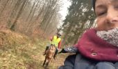 Trail Horseback riding Métairies-Saint-Quirin - Satis tivio  - Photo 5