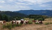 Tour Wandern Belsentes - Autour de la Chazalet  - Photo 1