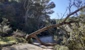 Tour Wandern Cheval-Blanc - gorge regalon Claudine Dan - Photo 1