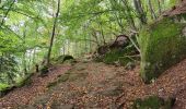 Excursión Senderismo Eckartswiller - Saint-Michel & Daubenschlag - Photo 16