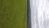 Trail Walking Beure - crête Pugey - Photo 4