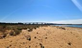 Tour Wandern Barbâtre - jeun rando J1 Baratre - Photo 1