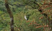 Tour Wandern Bouillon - Dohan 12km 2020  - Photo 8