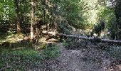 Randonnée Marche Annecy - A la découverte des Chalets de Barbenoire - Photo 14
