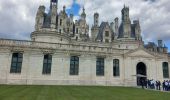 Randonnée Marche Chambord - chambord chateau  - Photo 16