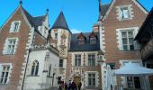 Tocht Stappen Amboise - Amboise  - Photo 17
