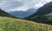 Tour Wandern Bellecombe-en-Bauges - Le Mont Crêt du Char Col de Frasse - Photo 4