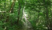 Tocht Stappen Château-Thierry - Château - Aulnois - Château du 26/05/2020 - Photo 2