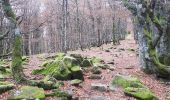 Percorso Marcia Mittlach - schnepfenried tour par platzervasen - Photo 10