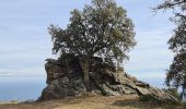 Randonnée Marche Cavalaire-sur-Mer - Cavalaire - oppidum de montjean crête des pradels - Photo 12