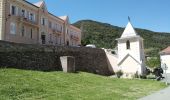 Tour Wandern Campile - Boucle de Monte Castellare - Photo 1